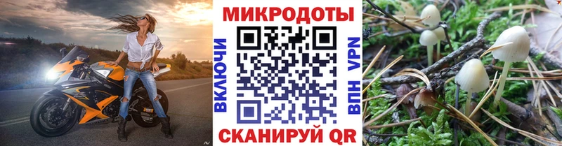 Псилоцибиновые грибы MAGIC MUSHROOMS  Цоци-Юрт 