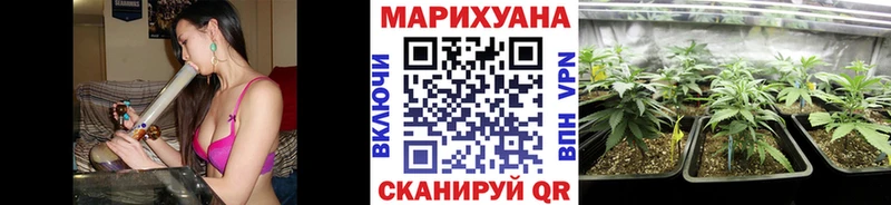 Бошки Шишки ГИДРОПОН  Цоци-Юрт 